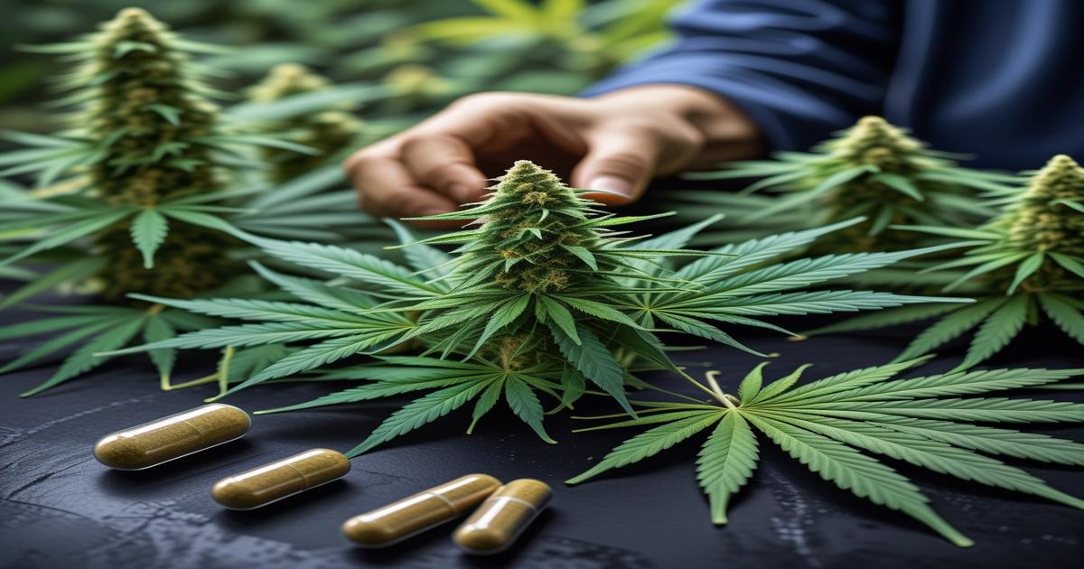 Imagem gerada por IA para ilustrar o conteúdo do Ganja Talks.