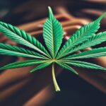 Imagem gerada por IA para ilustrar o conteúdo do Ganja Talks.