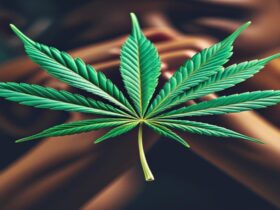 Imagem gerada por IA para ilustrar o conteúdo do Ganja Talks.