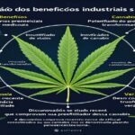Imagem gerada por IA para ilustrar o conteúdo do Ganja Talks.