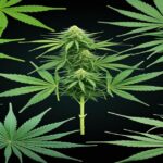 Imagem gerada por IA para ilustrar o conteúdo do Ganja Talks.