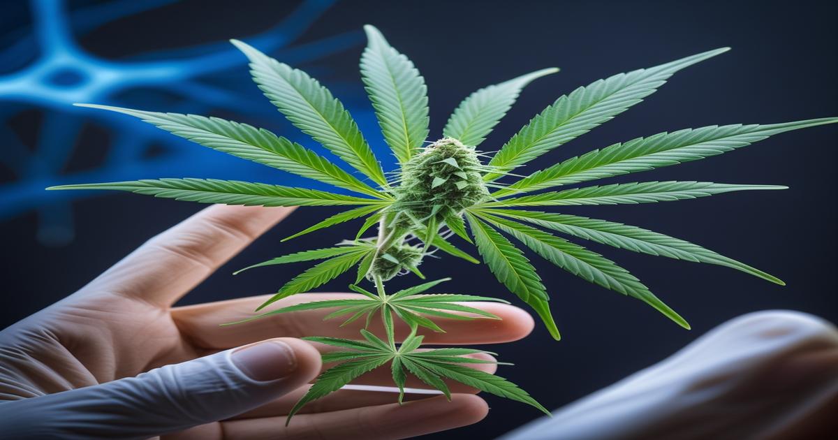 Imagem gerada por IA para ilustrar o conteúdo do Ganja Talks.