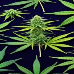 Imagem gerada por IA para ilustrar o conteúdo do Ganja Talks.