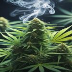 Imagem gerada por IA para ilustrar o conteúdo do Ganja Talks.