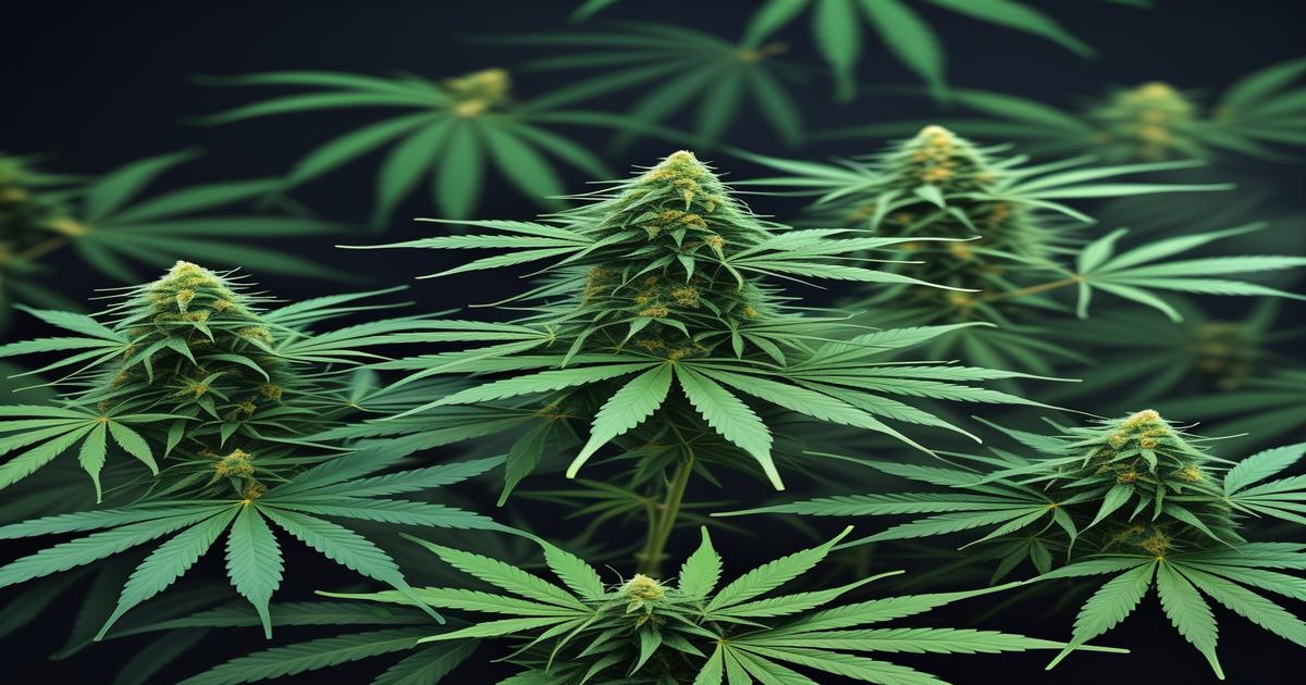 Imagem gerada por IA para ilustrar o conteúdo do Ganja Talks.