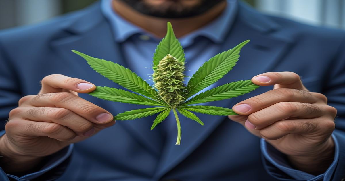 Imagem gerada por IA para ilustrar o conteúdo do Ganja Talks.