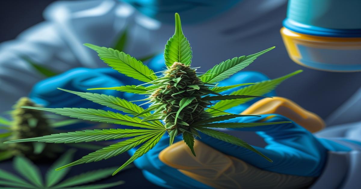 Imagem gerada por IA para ilustrar o conteúdo do Ganja Talks.