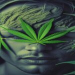 Imagem gerada por IA para ilustrar o conteúdo do Ganja Talks.