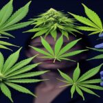 Imagem gerada por IA para ilustrar o conteúdo do Ganja Talks.