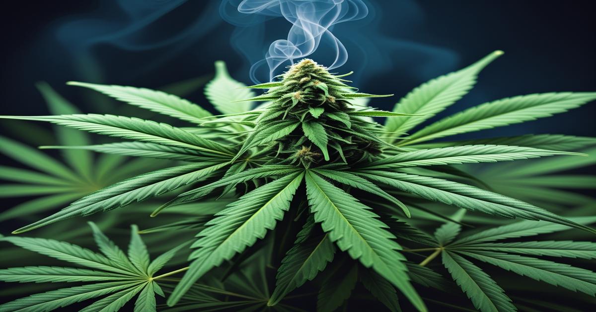 Imagem gerada por IA para ilustrar o conteúdo do Ganja Talks.