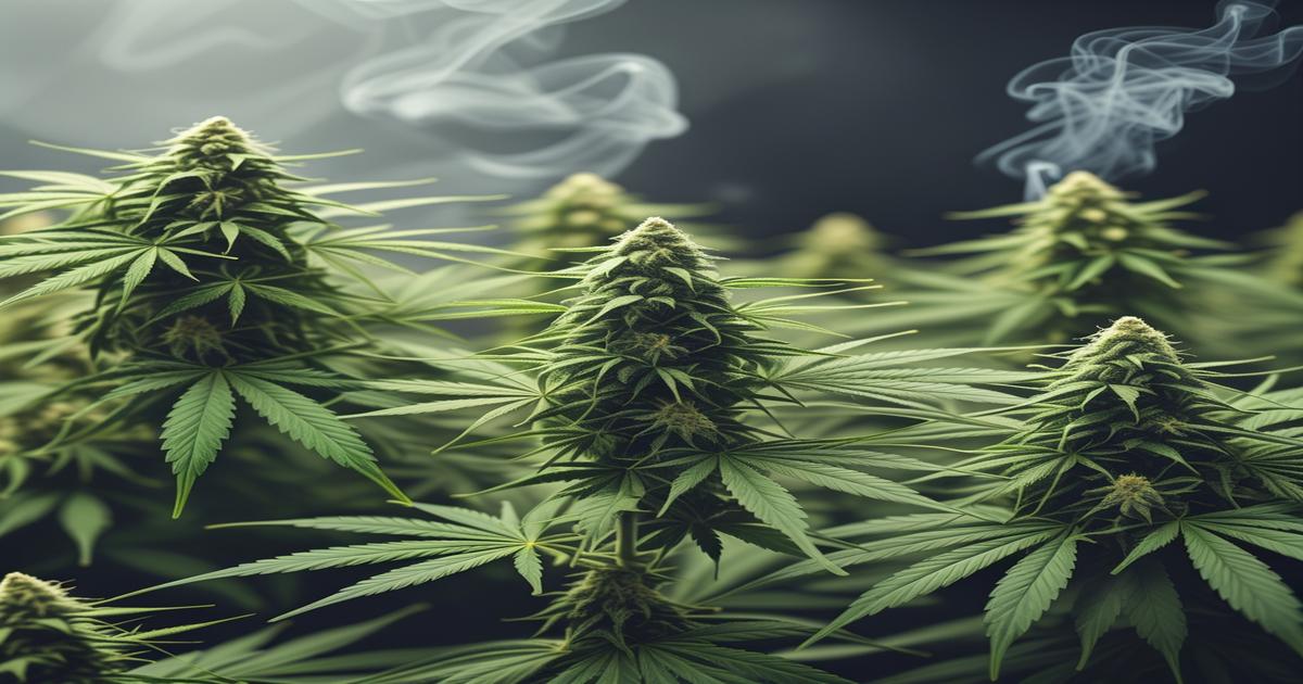 Imagem gerada por IA para ilustrar o conteúdo do Ganja Talks.
