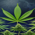 Imagem gerada por IA para ilustrar o conteúdo do Ganja Talks.