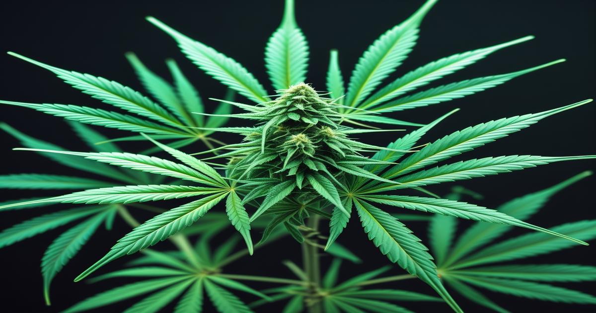 Imagem gerada por IA para ilustrar o conteúdo do Ganja Talks.