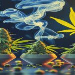 Imagem gerada por IA para ilustrar o conteúdo do Ganja Talks.