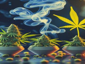 Imagem gerada por IA para ilustrar o conteúdo do Ganja Talks.