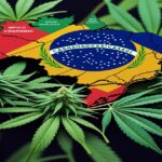 Imagem gerada por IA para ilustrar o conteúdo do Ganja Talks.