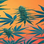 Imagem gerada por IA para ilustrar o conteúdo do Ganja Talks.