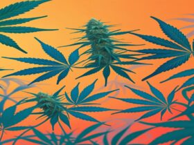 Imagem gerada por IA para ilustrar o conteúdo do Ganja Talks.