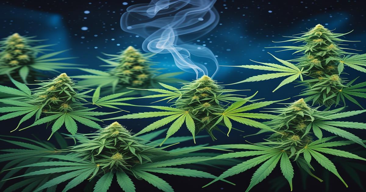 Imagem gerada por IA para ilustrar o conteúdo do Ganja Talks.