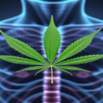 Imagem gerada por IA para ilustrar o conteúdo do Ganja Talks.