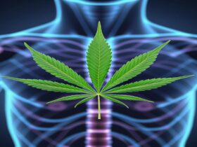 Imagem gerada por IA para ilustrar o conteúdo do Ganja Talks.