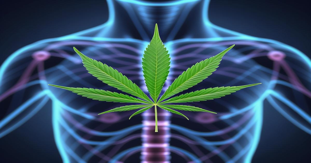 Imagem gerada por IA para ilustrar o conteúdo do Ganja Talks.