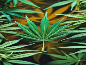 Imagem gerada por IA para ilustrar o conteúdo do Ganja Talks.