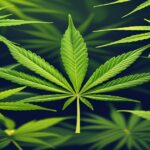 Imagem gerada por IA para ilustrar o conteúdo do Ganja Talks.