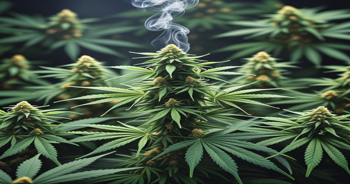 Imagem gerada por IA para ilustrar o conteúdo do Ganja Talks.