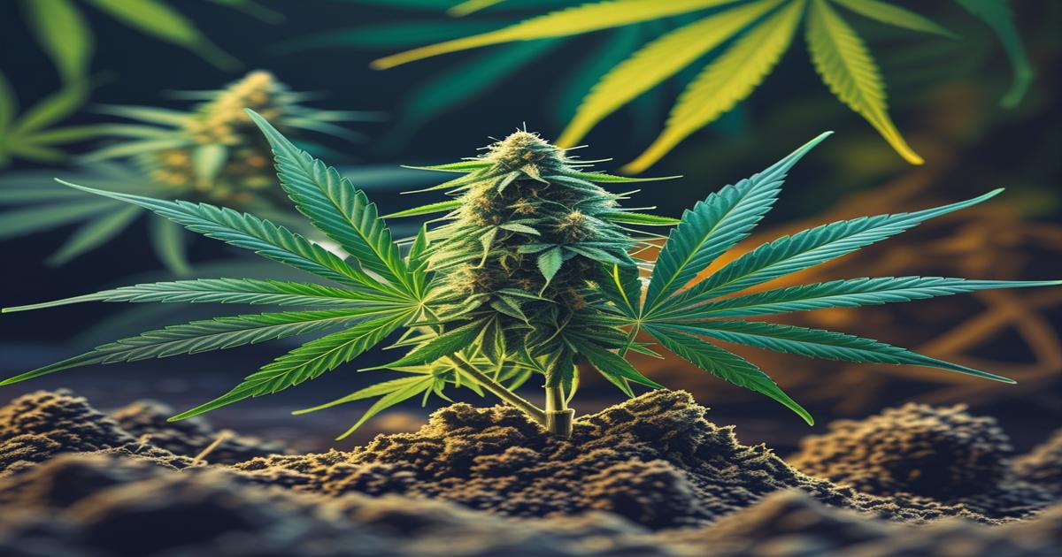 Imagem gerada por IA para ilustrar o conteúdo do Ganja Talks.