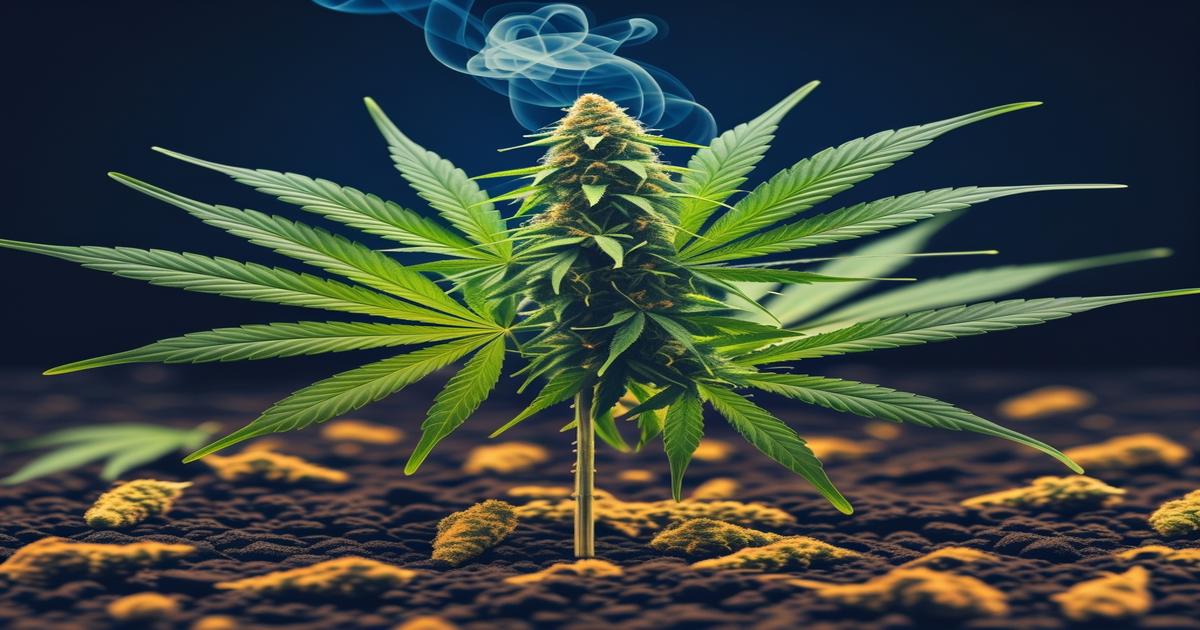 Imagem gerada por IA para ilustrar o conteúdo do Ganja Talks.