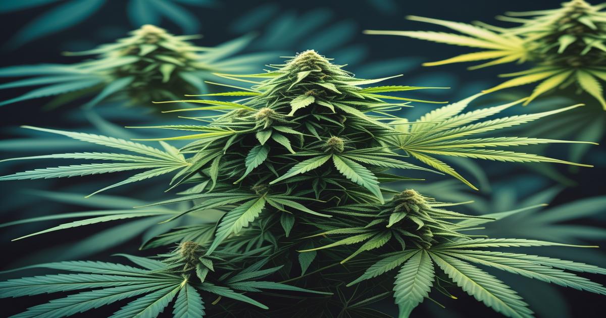 Imagem gerada por IA para ilustrar o conteúdo do Ganja Talks.
