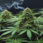 Imagem gerada por IA para ilustrar o conteúdo do Ganja Talks.