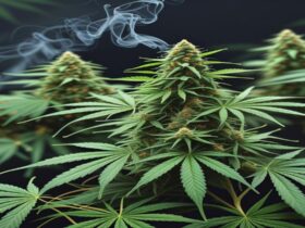Imagem gerada por IA para ilustrar o conteúdo do Ganja Talks.