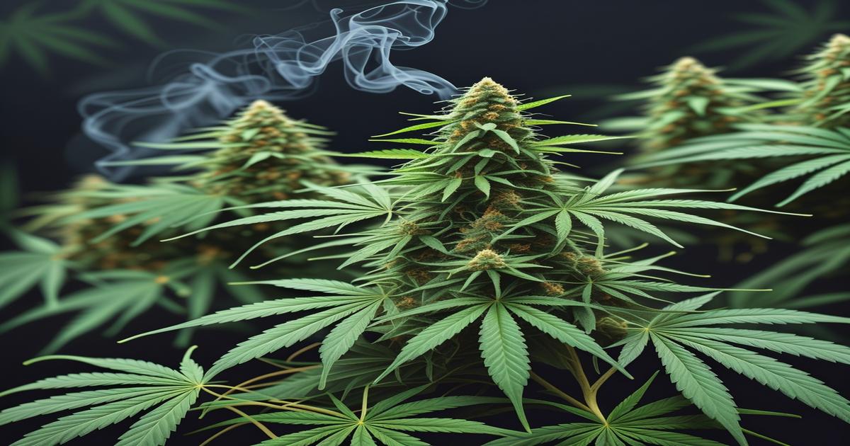 Imagem gerada por IA para ilustrar o conteúdo do Ganja Talks.