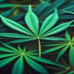 Imagem gerada por IA para ilustrar o conteúdo do Ganja Talks.