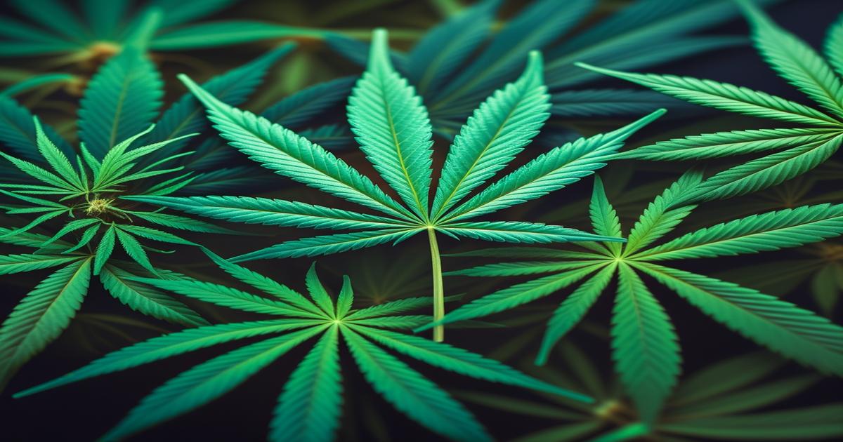 Imagem gerada por IA para ilustrar o conteúdo do Ganja Talks.