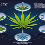 Imagem gerada por IA para ilustrar o conteúdo do Ganja Talks.