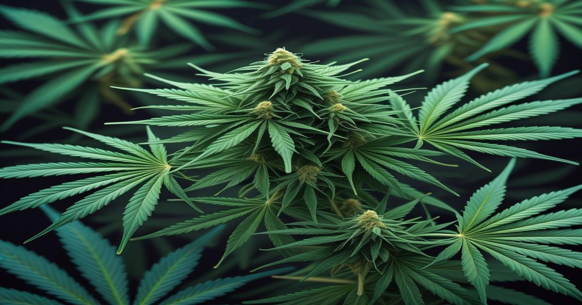 Imagem gerada por IA para ilustrar o conteúdo do Ganja Talks.