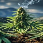 Imagem gerada por IA para ilustrar o conteúdo do Ganja Talks.