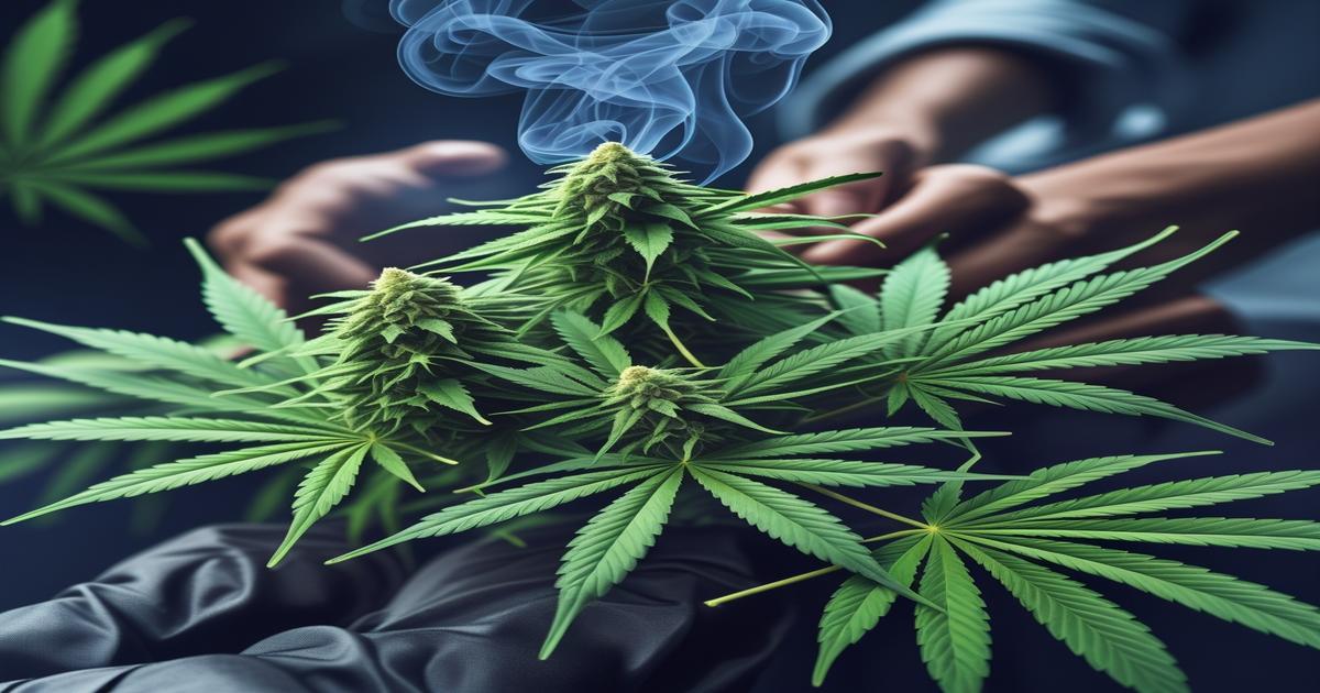 Imagem gerada por IA para ilustrar o conteúdo do Ganja Talks.