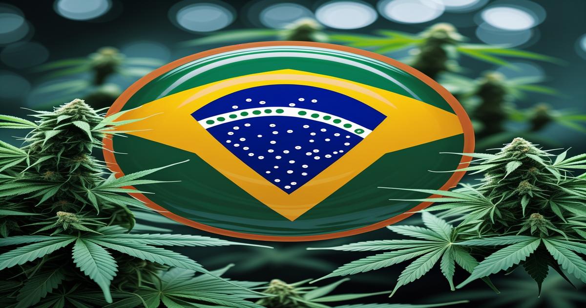Imagem gerada por IA para ilustrar o conteúdo do Ganja Talks.