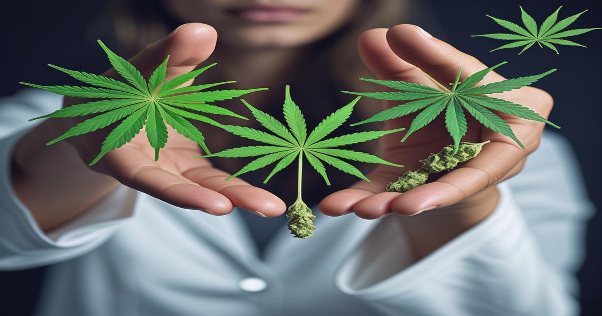 Imagem gerada por IA para ilustrar o conteúdo do Ganja Talks.