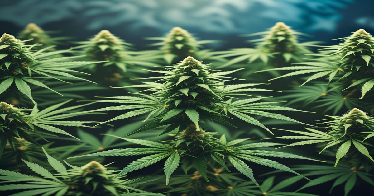 Imagem gerada por IA para ilustrar o conteúdo do Ganja Talks.