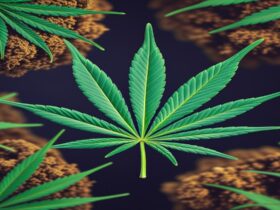 Imagem gerada por IA para ilustrar o conteúdo do Ganja Talks.