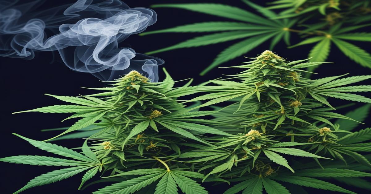 Imagem gerada por IA para ilustrar o conteúdo do Ganja Talks.