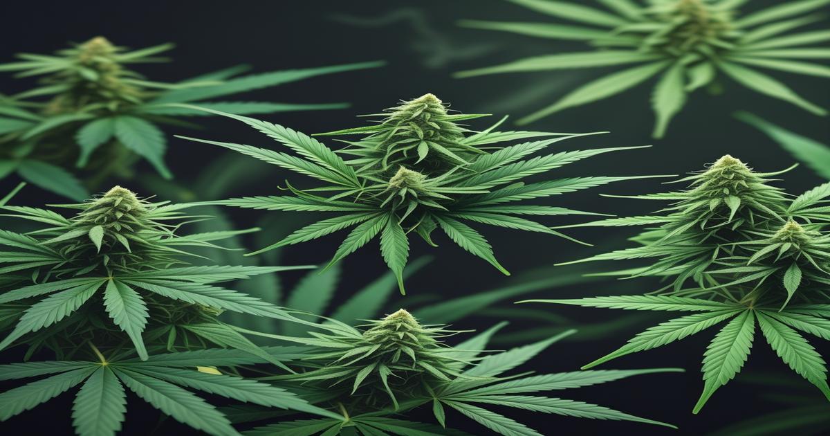 Imagem gerada por IA para ilustrar o conteúdo do Ganja Talks.