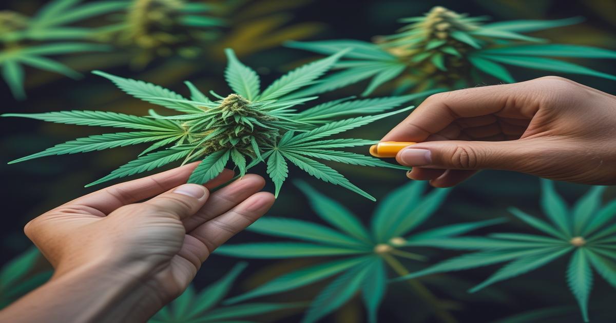 Imagem gerada por IA para ilustrar o conteúdo do Ganja Talks.