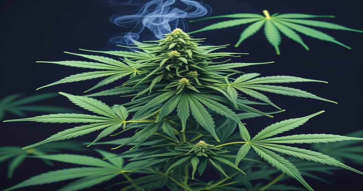 Imagem gerada por IA para ilustrar o conteúdo do Ganja Talks.