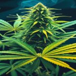 Imagem gerada por IA para ilustrar o conteúdo do Ganja Talks.